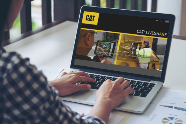cat live share